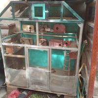 قفص • للبيع • الفلوجه ٧نيسان