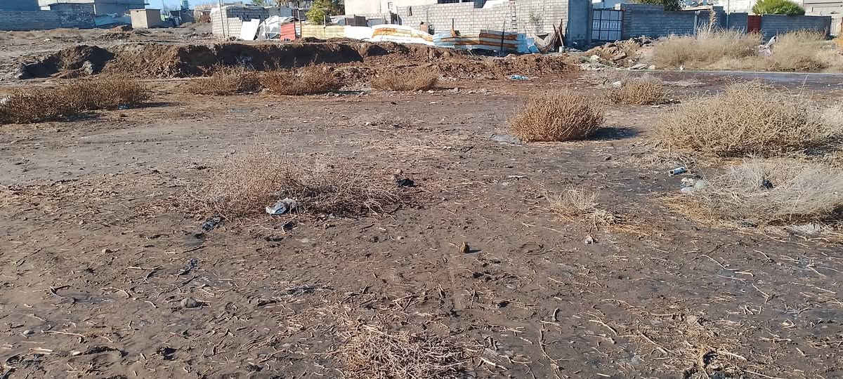 ارض للبيع مساحتها 300واجها 15عرض20سند زراعي موقعها يم بيت طه الدوكان ومحلات جبروت امرأة 
متوفر كافه الخدمات مي وكهرباء وشارع كلشي يمها 
سعرها مناسب ترهم مقدمه ونقد اتصل وتدلل ***********
