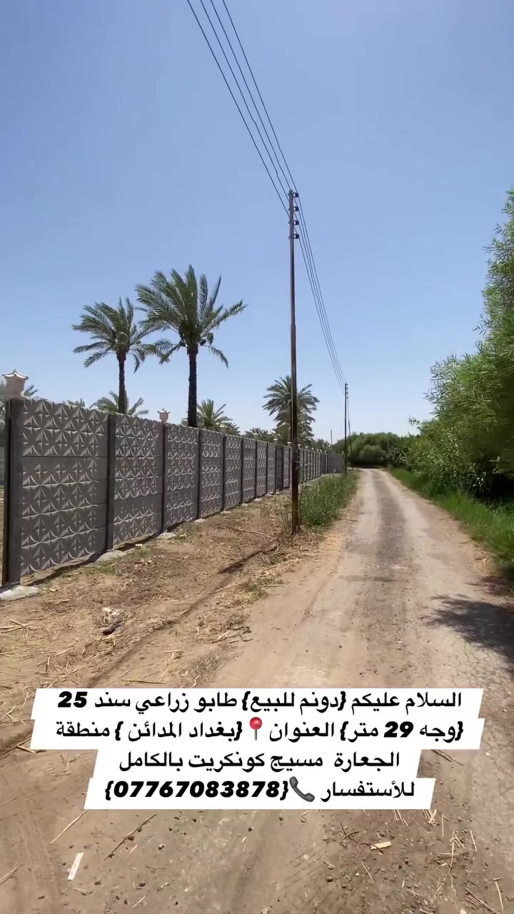 السلام عليكم {دونم للبيع} طابو زراعي سند 25 {وجه 29 متر} العنوان📍{بغداد المدائن } منطقة الجعارة  يبعد من الشارع العام 700 متر مسيج كونكريت بالكامل  كهرباء واصل مي سقي واصل  
للأستفسار 📞{***********}

  #بيع #عقار #مزارع #عقارات #ترند
