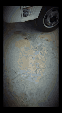 كيا فحل للبيع موديل 14فول نضافه رقم اجنبي شرط التحول غيرمتواجد ع فيس/‬‏‏‪
‏‪***********‬‏
‏‪***********‬‏
