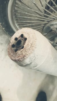 مراوس بصراخ او رياضي07758595640