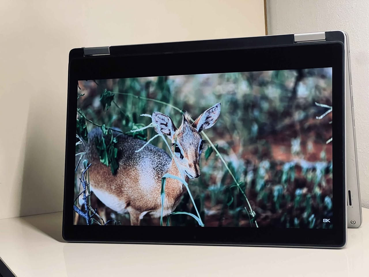 بۆ خوێندکاران و مامۆستایان و کاری ڕۆژانە و فریلانسەر لاپتۆپێکی کەشخە و کێش سووک وەک نوێ زۆر پاک. شاشە لەمس دەکرێ بە ئایپاد. شاشەیەکی ڕوون و جوان. تایبەتمەندییەکانی:

Dell Latitude 3310 x360 touch screen

Core i5 gen8 - Windows 11 pro digital licence!
Storage 256 SSD
Ram 8GB DDR4
Display 13 inch
Battery Up to 3H very good
Original charger.

جانتا و ماوس هەدیە.

نرخی: 480,000 هەزار

بۆ حجز نامە بنێرن. السليمانية, العراق


**إذا كنت صاحب هذا الإعلان وتريد حذفه لأي سبب، رجاءا أرسل رسالة إلى الدعم الفني**