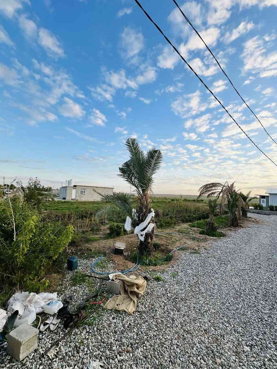 سلاو ريز
كؤدي ريكلام(49)

#باخی_زۆر_هەرزان يه ك دؤنم بۆ فرۆشتن ⛪💒
ناونیشان 📍 قەزای ڕزگاری (سموود)

◼️ باخ دۆنم لە پشت شاری شکۆ ✅ 
◼️ئاوکارەبای خۆی هەیە و کامل سیاج کراوە 
◼️ تاپۆی شێخەو يه ك1 دونمه✅
◼️ نرخەکەشی زۆر هەرزان و گونجاوە ✅
◼️ ژورێکی  گەورەشی لێیە ✅

بؤه زانيني نرخي ئه م خانوانه خاليك له كوميند دانه

بؤ زانيارى زياتر پةيوندى بكةن بة يةكيك لةم ژمارانةى خوارةوة👇
📞☎️
***********

ناونیشانی نوسینگە خؤرنةوةزان ◀️ بەرمبەر مزگەوتی  ئاسودة  

ئێوەی بەڕێزیش هەر موڵکێکتان هەبوو بۆ فرۆشتن یان ویستان بیکڕن دەتوانن ڕەسم و زانیارییەکانتان بنێرن بۆ ژمارە ڤایبەری 📳✅***********
