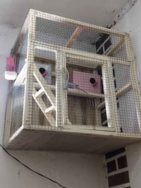 قفص • حيوانات أليفة