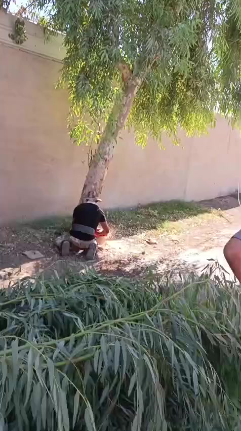 السلام عليكم نشتغل في قطع الأشجار و تنضيف الحدائق والاحواش وتقليم الأشجار ***********
