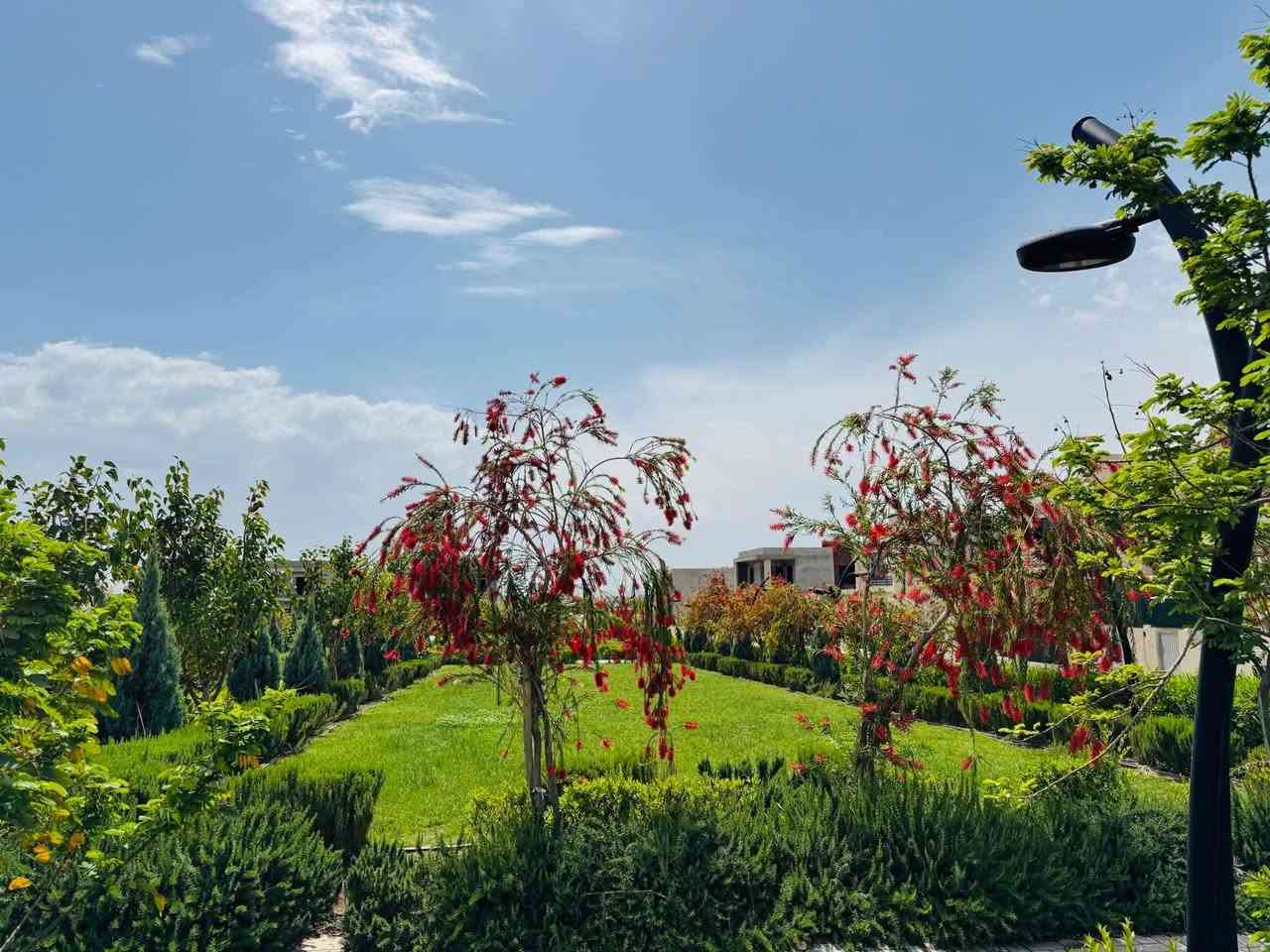 📢خانوی بان ستی(بامۆک)بۆفرۆشتن
🔸خانوی 220مەتر ڕوکن بەردەم پارک نەقد
🔸خانوی 200مەتر ڕوی سلێمانی نەقد
🔸خانوی 200مەتر خۆربەیانی قست
🔸خانوی 180مەتر بەردەم چۆڵ قست
🔸خانوی 200مەتر ڕوی سلێمانی ڕوکن قست
🔸خاوی دووقات ڕوکن 220 مەتربەردەم پارک
☎️📞 ***********
