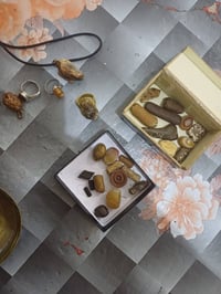 محابس • احجار • سماوه رميثه