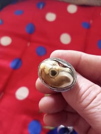 معطف داوودي • قديم • خامة