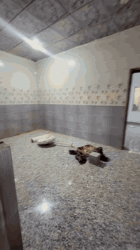 بيت للإيجار – القبلة / حي الشهداء
متوفر الطابق الأول فقط من البيت، بمساحة 100 متر، كما هو موضح في الفيديو.
يحتوي الطابق على:
 • غرفة
 • صالة
 • استقبال
 • مطبخ

ملاحظة: الطابق الثاني قيد العمل حالياً ولكن الطابق الأول معزول تماماً ولا يتأثر بالعمال.

سعر الإيجار: 400 ألف دينار عراقي
للإستفسار: ***********
