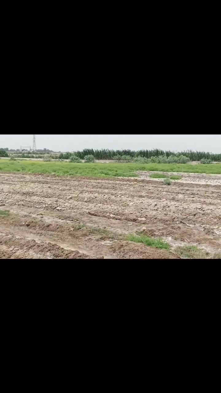 السلام عليكم ارض زراعيه   مع البيت جاهز للسكن  للبيع 11دونم صالحه للزراعه

كافت الخدمات شارع تبليط كهرباء وماء
 
قريب ع شارع العام تبعد 200متر 

قرب بانزين خانه حجي سالم للستفسار

 الاتصال ع ‏‪***********‬‏ او تفضل خاص
