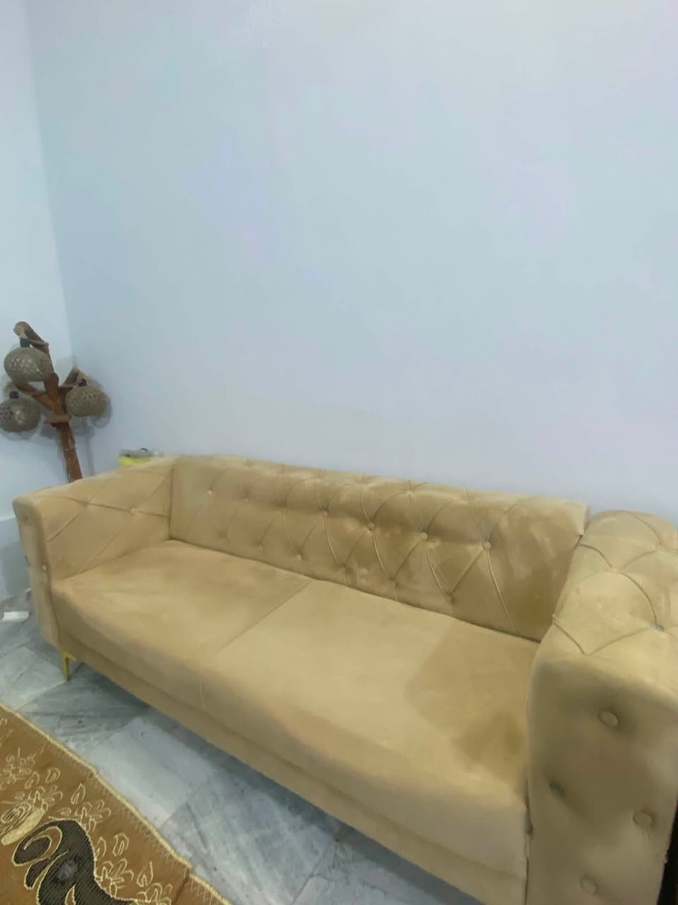 تخم للبيع نظيف سعره 400 وبيه مجال مكان الناصريه منصوريه رقم ***********
