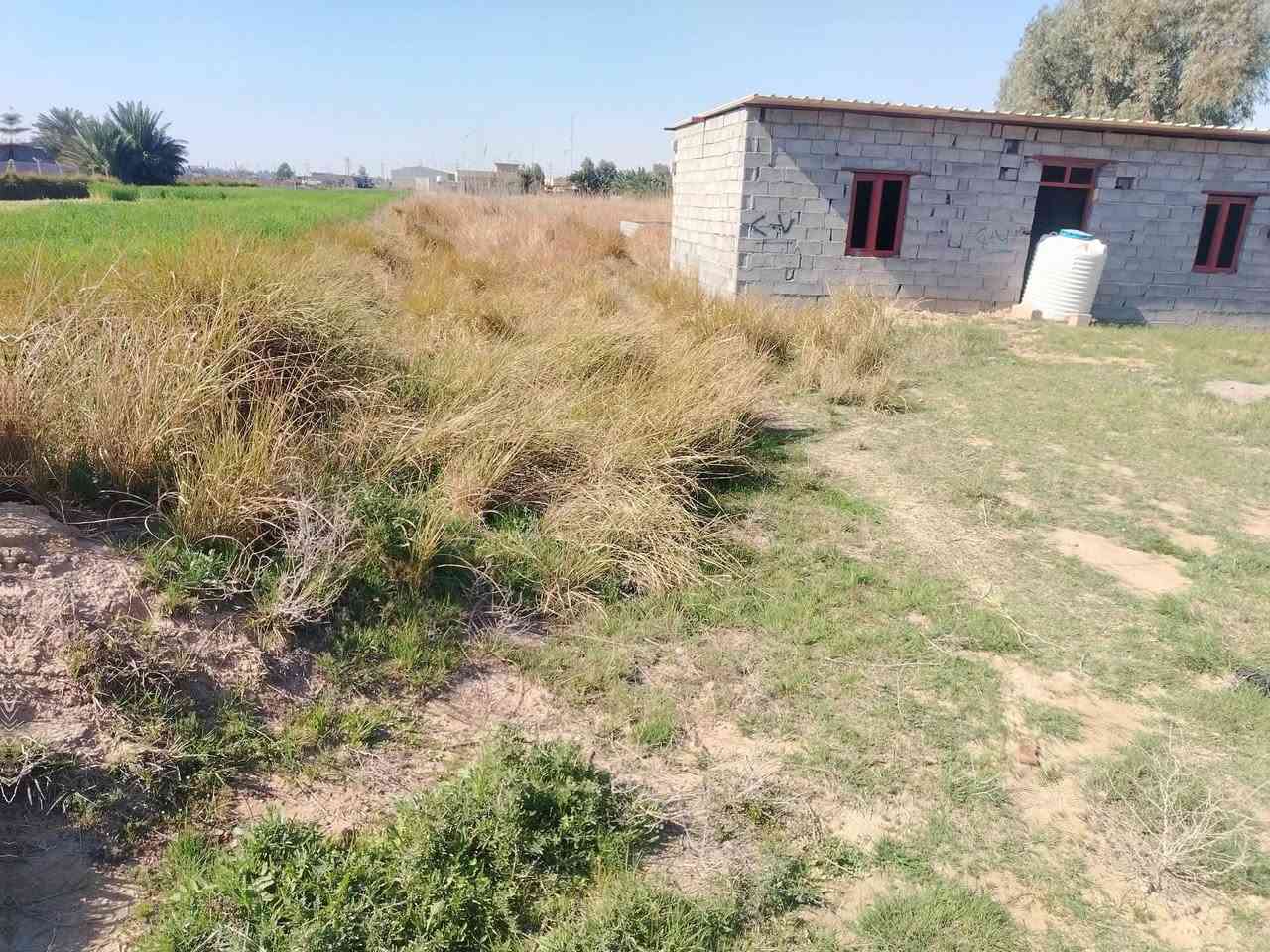 سلام عليكم  قطعه مساحه800م
مكان ممتاز طريق طريق بغداد كوت قريب على حولي
قريب على شارع بغداد ١٥٠ متر او مراوس بيت 
استفسار أكثر  ع خاص


**إذا كنت صاحب هذا الإعلان وتريد حذفه لأي سبب، رجاءا أرسل رسالة إلى الدعم الفني**