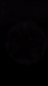 التوثيق الفديوي لحملة المستجار للحج والعمرة والزيارة رحلة  10/29 رحلات...