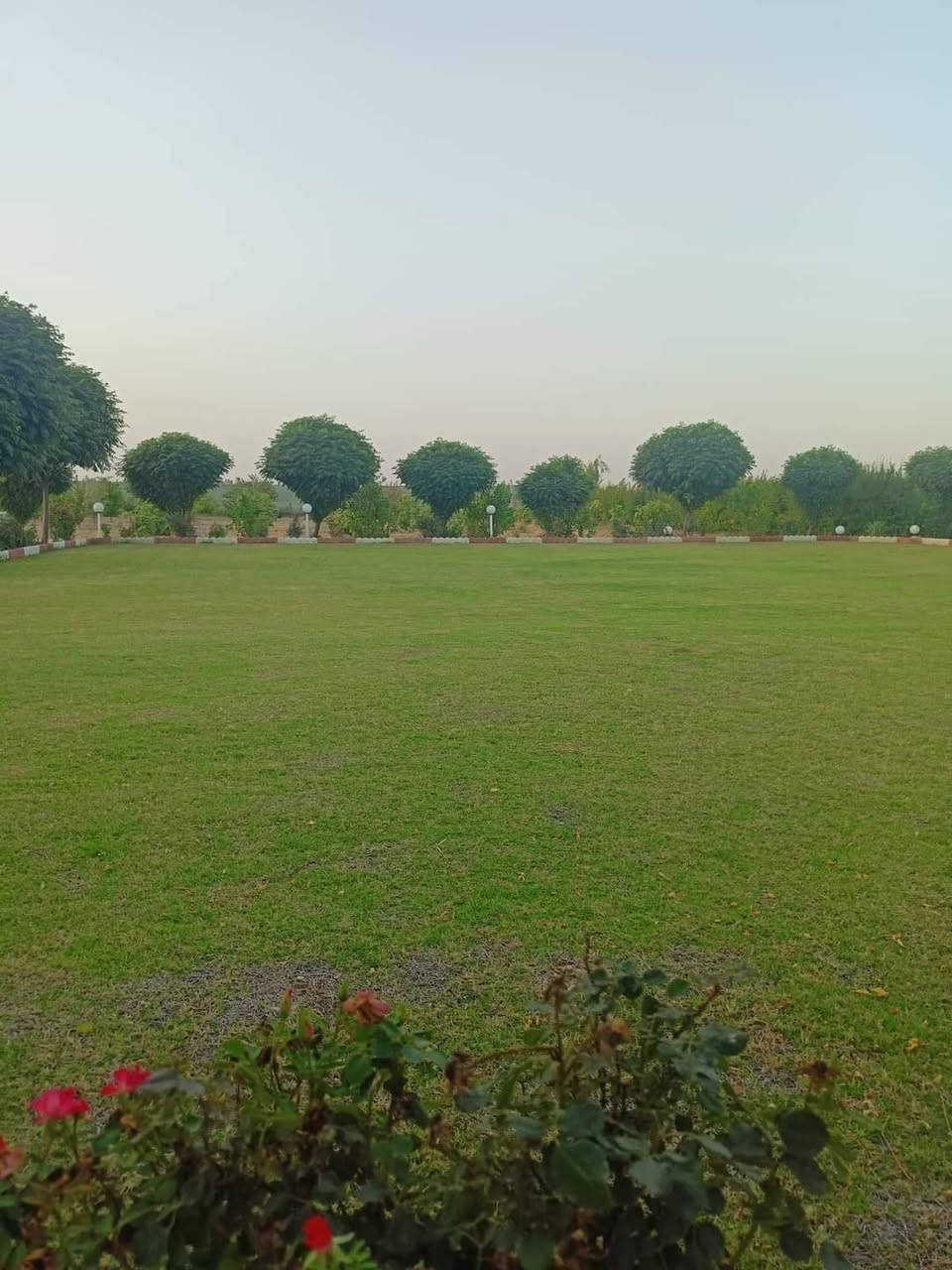 🌳✨ تريد مزرعة تطلع بيها سفرة ومكان مناسب للعائلة؟
لا تدور هواي… الحل عدنه 👇
🍎 مزرعة الرمانة
مكان راقي ومرتب يضمنلك راحة وخصوصية
✔️ جلسات عائلية مريحة
✔️ مساحات خضراء واسعة
✔️ مكان هادئ بعيد عن الإزعاج
✔️ مناسب للعوائل فقط
اجمع أهلك وأصدقائك وخلو يومكم ينعاش بأجواء طبيعية حلوة 🌿💚
📞 للحجز والاستفسار راسلنه خاص
مزرعة الرمانة… راحتكم تهمنا
 🌸
العوان خلف مطعم ميديا السياحي منطقة حه سار للحجز ***********
