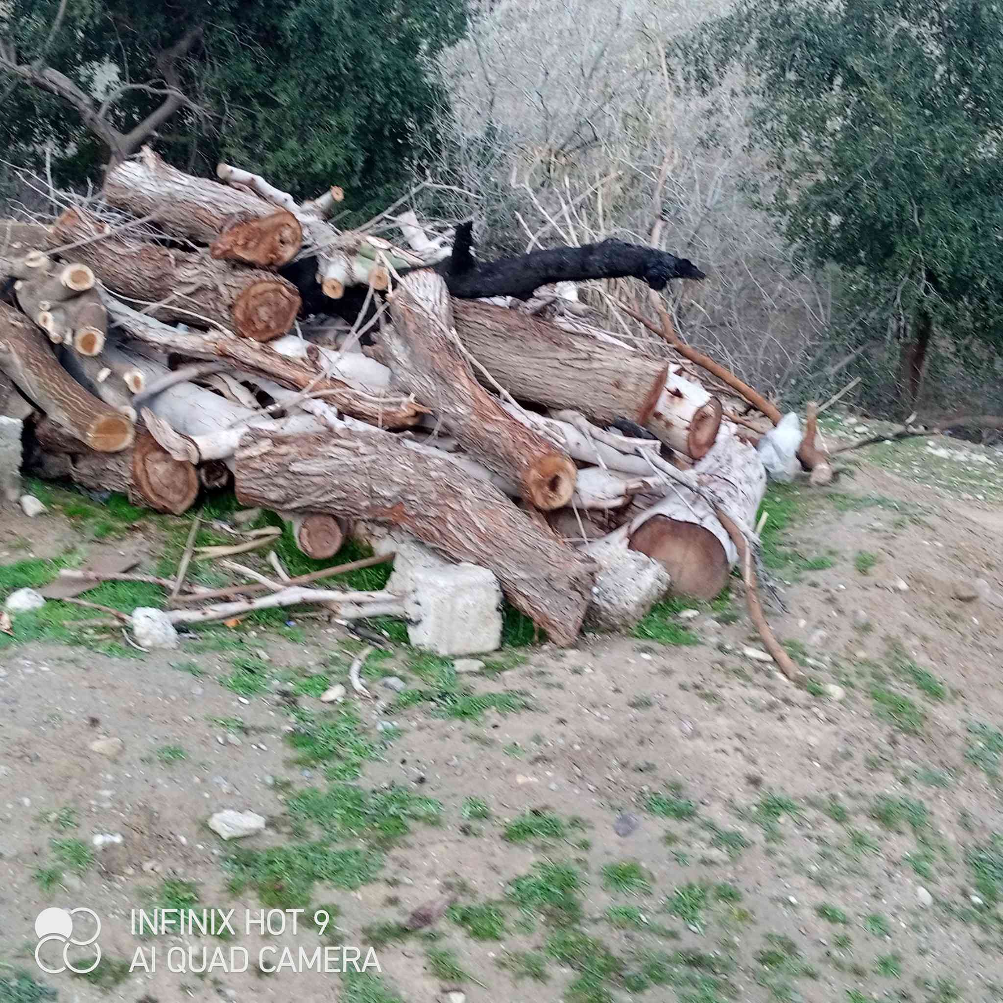 السلام عليكم يوجد حطب يابس للبيع للاستفسارالاتصال على الرقم***********
