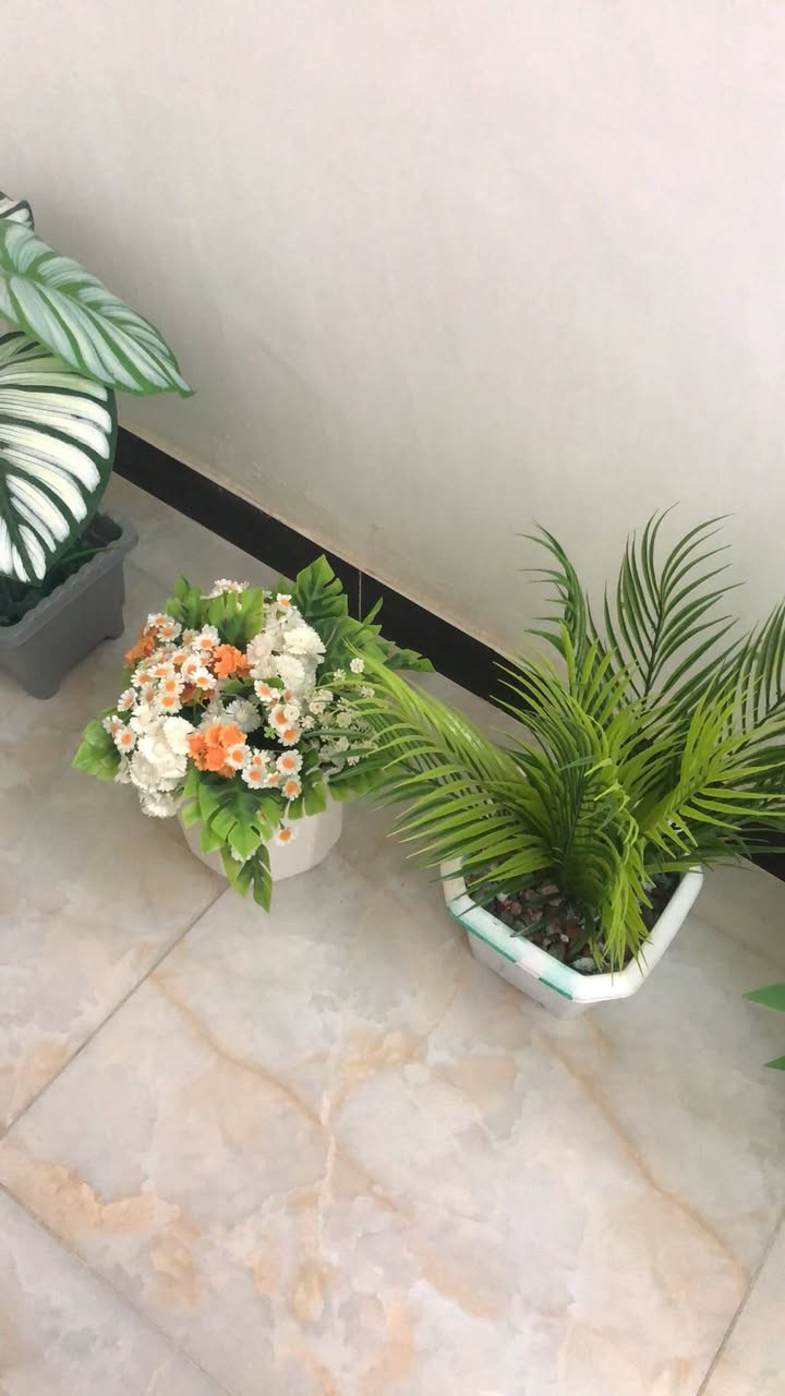 كل ثلاثه ب٢٠بغداد الشعب


**إذا كنت صاحب هذا الإعلان وتريد حذفه لأي سبب، رجاءا أرسل رسالة إلى الدعم الفني**