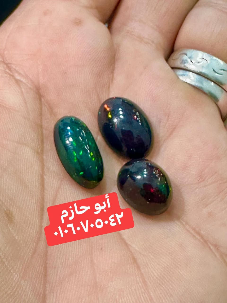 🌴🌴 صبحكم الله بالخير والبركة والرزق الحلال 🌴 

💎💎 شوية حلويااااات من زمن فااااااات 💎 💎 

💎 الأوبااااااال الفووووول فااااااير الأستراااالىً 💎 

#ورشة_أبوحازم_المجرى_٠١٠٦٠٧٠٥٠٤٢


**إذا كنت صاحب هذا الإعلان وتريد حذفه لأي سبب، رجاءا أرسل رسالة إلى الدعم الفني**