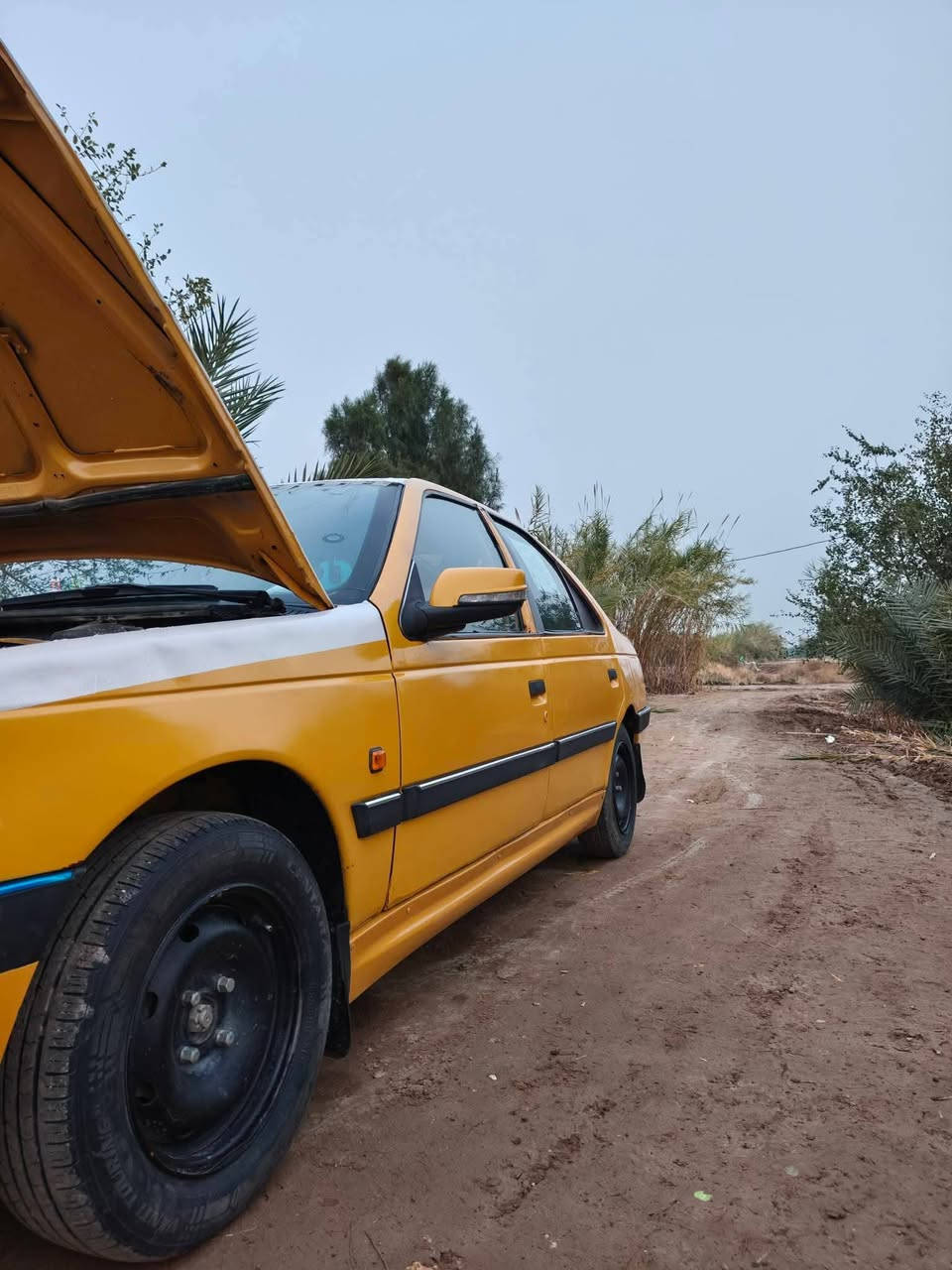 سلام عليكم بيجو لميس مديل 15سنويه 27 بشهر 11تنتهي مصفره عليه 100هيئه الشراي يخابر أو بيه خير او يدلل اذا اكو مراوس مكينه بخار كير شرط مكاني ديوانيه سعره22بيه مجال بصيط رقمي


**إذا كنت صاحب هذا الإعلان وتريد حذفه لأي سبب، رجاءا أرسل رسالة إلى الدعم الفني**