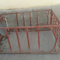 شباب محجل للبيع سعر 60 مكاني رمادي رقم لهاتف 07802788259