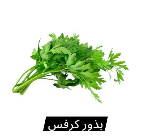 توفر بذور زراعة 🌿🌿🌿
📍 الرمادي شارع 20 فرع المقابل لحلويات العيد قرب الدكتورة زبيدة للاسنان ♦️♦️ اعشاب الدكتور صبري المرسومي♦️♦️ للتواصل ***********
