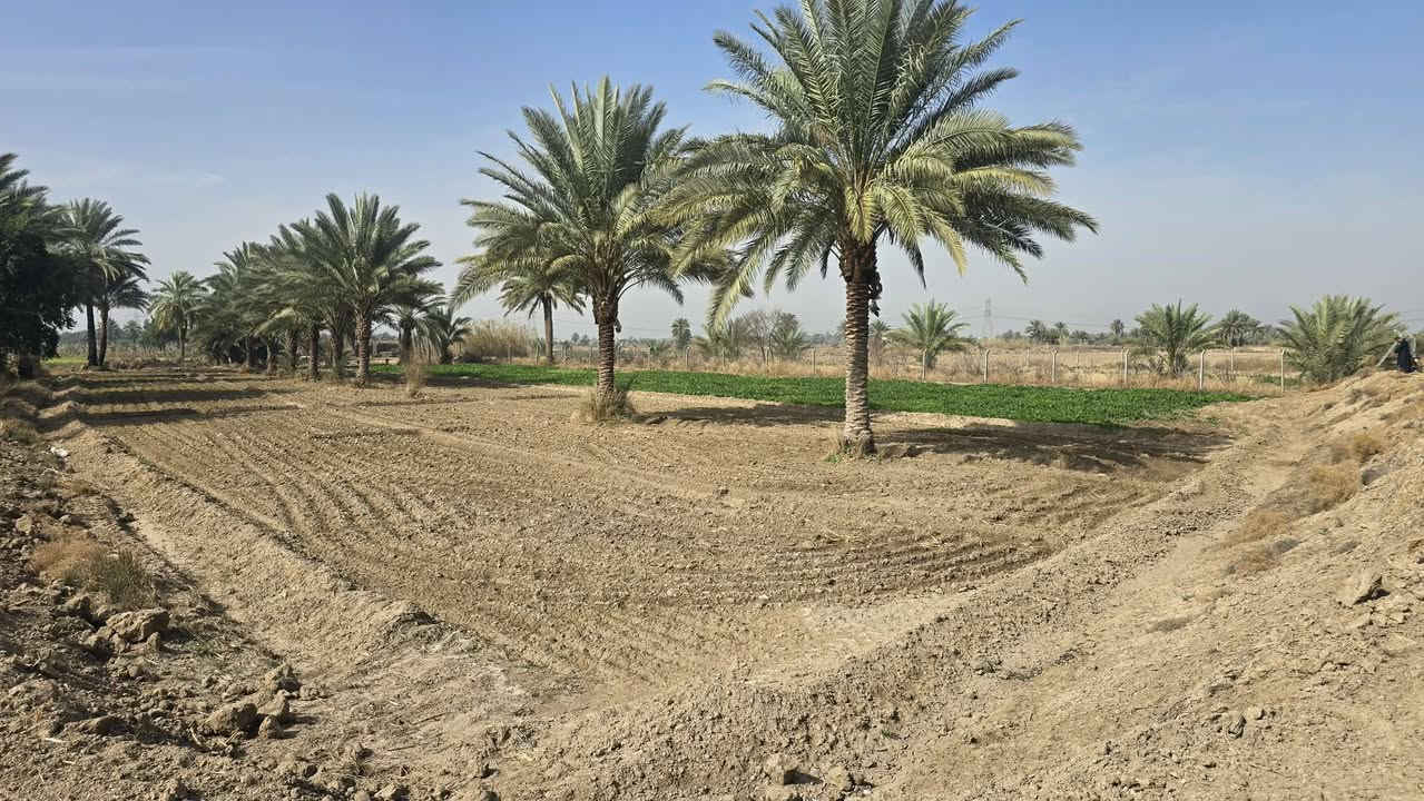 دونمين اله ربع للبيع  طابو زراعي سند 25 تحويل  مباشر
العنوان. خلف جامعه بابل. متوفر ماء  السقي وايضاً ماء 

اساله. و كهرباء. الخدمات كامله.     السعر مناسب. 

.  ***********
