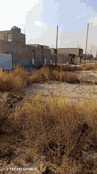 السلام عليكم 
القطعه للبيع 
مساحه 200 متر 
واجهه 7 نزال 29
طابو زراعي سند 25 
خدمات ماء كهرباء وبعد بس تبليط 
تنازل من صاحب السند واقرار قاضي 
الدوره مدخل هور رجب خلف افران الزيتون 
*********** واتساب 
*********** أو مراسلة الخاص
