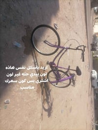 باسكل • للبيع • خاص