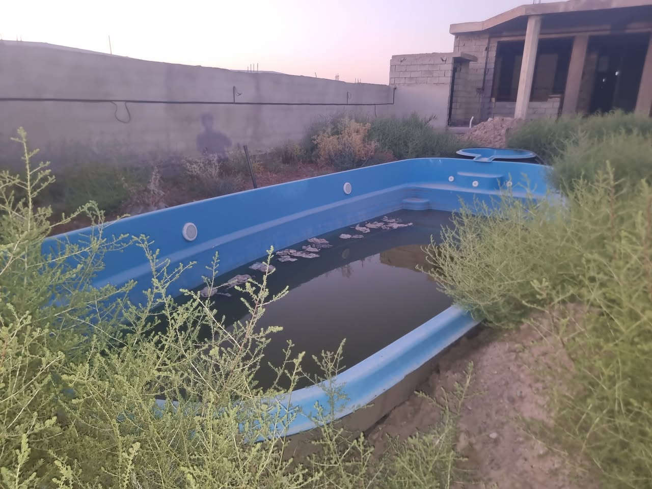 دونم طابو سند ٢٥ في  بغداد/ المدائن / ناحية الوحدة  
يحتوي على مطبخ كامل ومسبح ومحطات ستراحة عدد ٢  ونخيل برحي وابريم الدونم مسيج ومحروم في بوابه 
للستفسار اتصل موجوده كافة الخدمات كهرباء ماء اساله ماء نهر مولد سحب 
 ***********
***********

