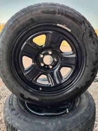 تخامه ويل كب كامل للبيع 07808265928