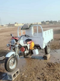 ستوته • مديل ١٨ • اوراق اصولي