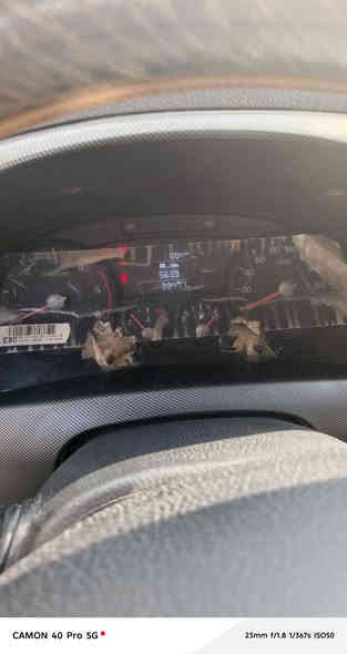 السلام عليكم كيا حمل موديل 2024 كفالة عامة 2700 بغداد دوشمة صدر ودوشمة تنتة السبير ما نازل الاتصال على الرقم ***********
