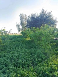 وبركاته اخوني يتوفر ارض للبيع مساحة 20 دونم طابو زراعي بغداد ابو غريب ...