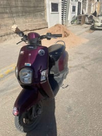ماكس بوليس • نظيف • ملحق الفارس
