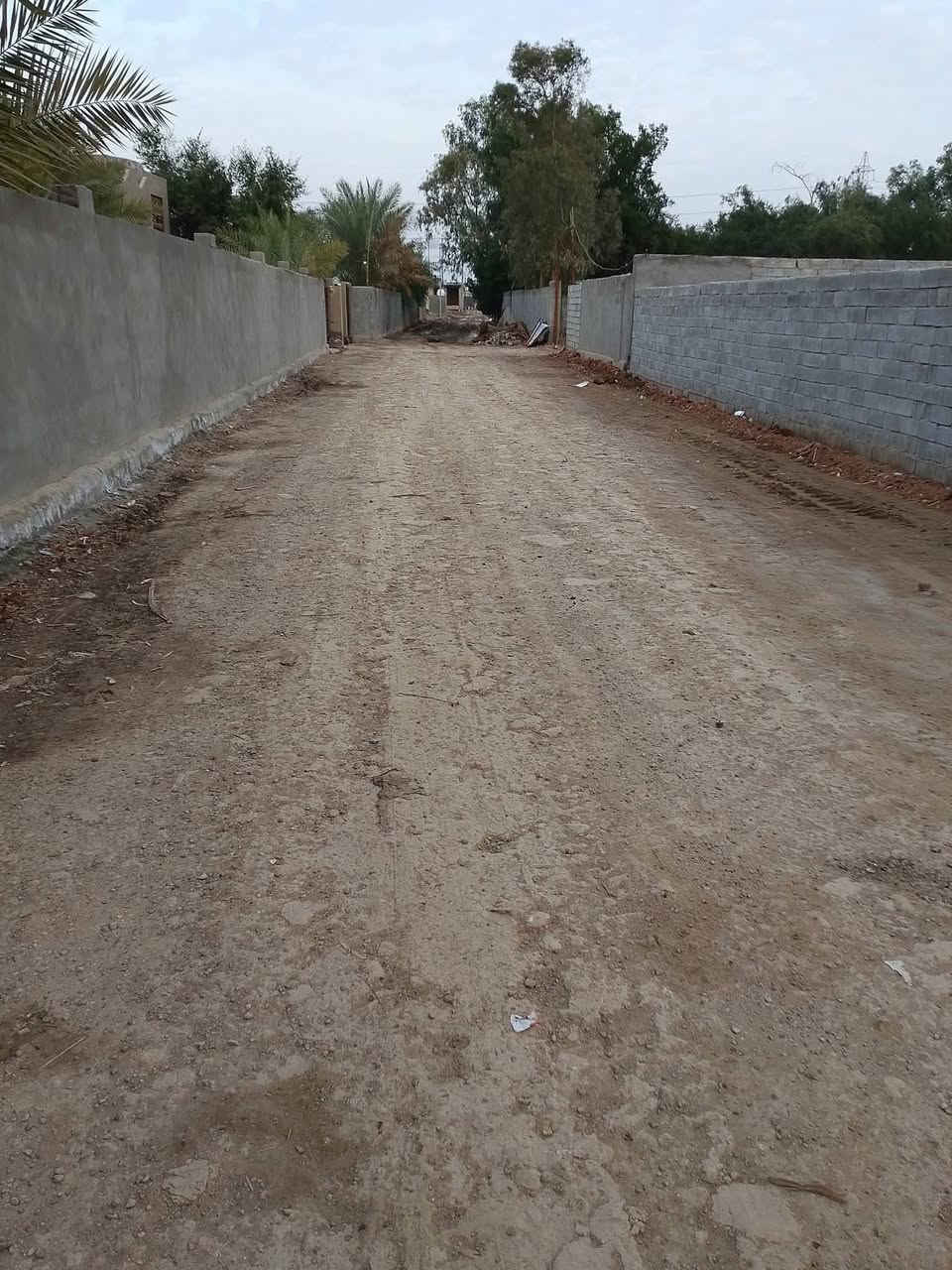 💢السلام عليكم
🧾 قطعه للبيع طابوو زراعي سند 25♦️✨♦️

العنوان وراء عمارات الزيتون ♦️♦️♦️♦️

قريب عالشارع العام الثالث بيت🌹🌹🌹
     (متوفره كافة الخدمات) 🌹♦️✨🌹

📏المساحه 300 الواجهه 17ونص 🌹🌹🌹 نزالها 19 ونص ✨

 مرقمه من البلديه مكانها كلش حلو بالبدايه اول ما تطب عمارات ♦️

الزيتون ثاني بيت عن الشارع ✨✨ سعره خاص كلش حلو ♦️🌹
 
 #يباعن كلهن #موقع كلش يخبل بيه نخل سته نخلات🌹🌹🌹♦️🌹

#ارض  حق التصرف مسيج بلوك وكامل♦️♦️✨✨

#سند 25 تحويل مباشر بأسم المشتري 🌹🌹🌹🌹

🔹🔸🔹🔸🔹🔸🔹🔸🔹🔸🔹🔸🔹

#للاستفسار اكثر الاتصال على الارقام 

☎️هاتف:- ***********

☎️هاتف:- ***********
