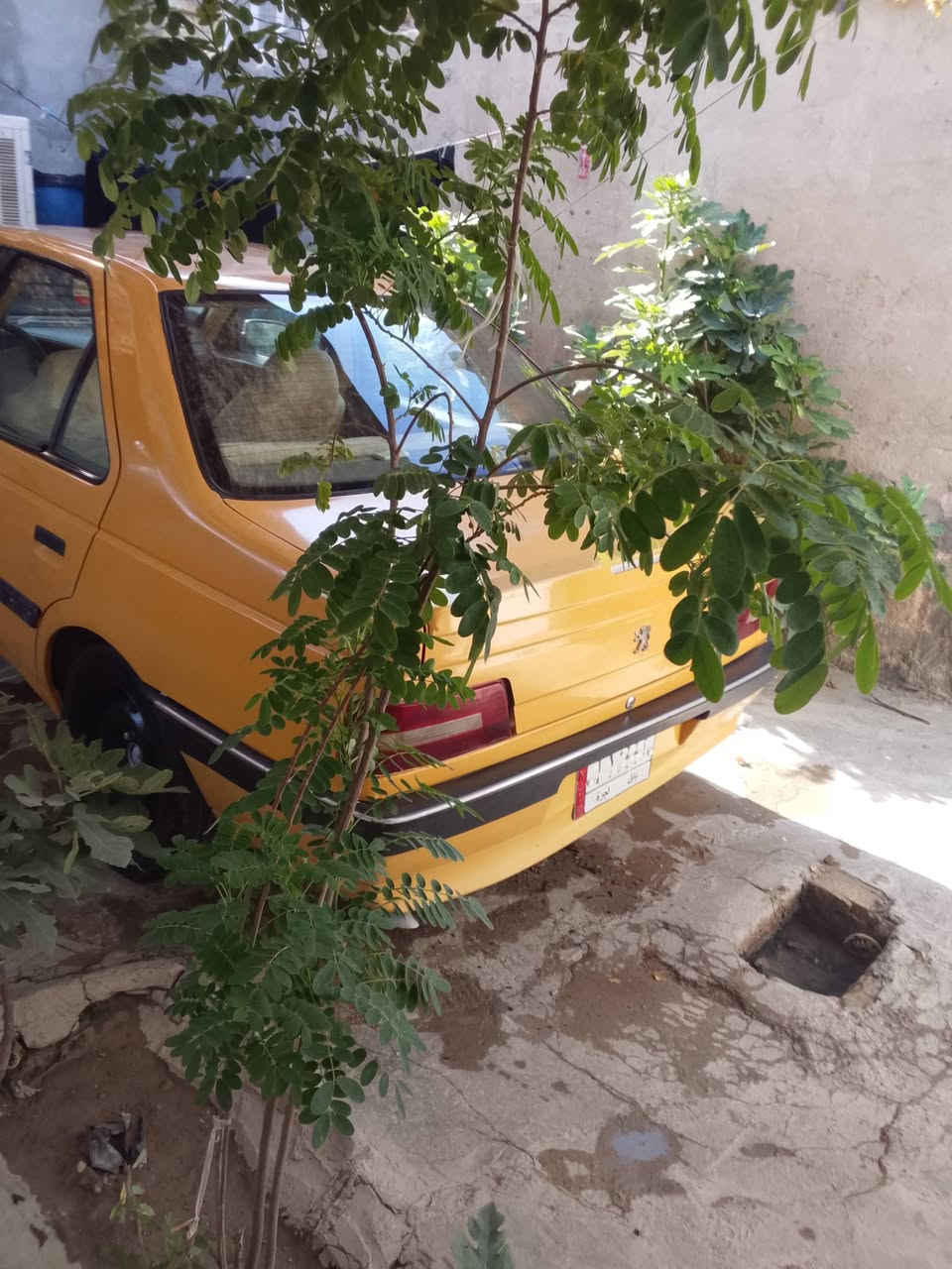 للبيع بيجو 405 موديل 12 رقم بابل سياره مال جناي حلوه وجاهزه كفاله عامه
مكانها حله حي نادر سعر 26 بيه مجال 
***********
