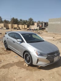 شباب امريكي 2020 115 اذا امروس حسب القناعه 07725662439
