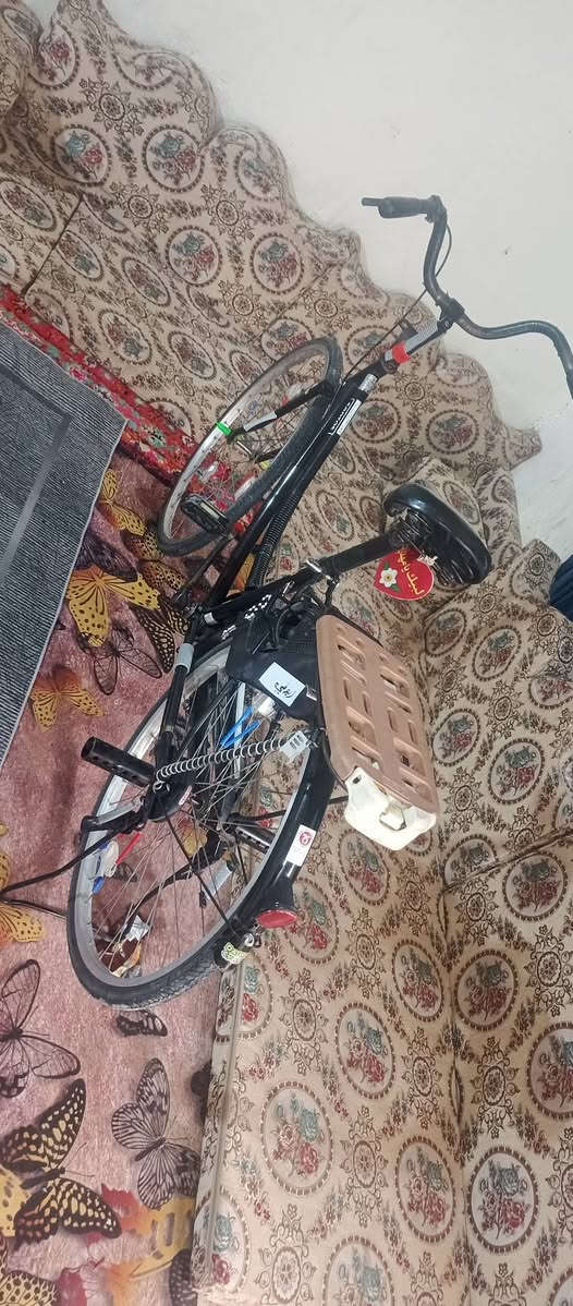 سلام عليكم.! باسكل للبيع او مراوس شركه سانتوس مديل 16 حجم 26 مكان كربلاء حي العامل سعر 90وبي مجال غراضه موجوده بس بريك كدام ما موجود


**إذا كنت صاحب هذا الإعلان وتريد حذفه لأي سبب، رجاءا أرسل رسالة إلى الدعم الفني**