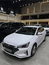 النترا ٢٠١٩ • بصمه • كشنات جلد