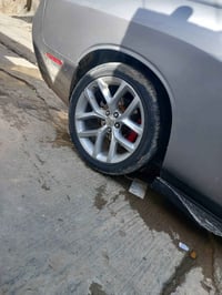 ويل جيتي ٢٠ • مكفول • ويلد/نجمة