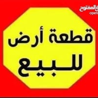 بهرز ابو الكرم • ١٠٠م • طابو زراعي