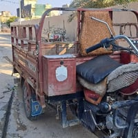 ستوته • موديل 2017 • دلي عباس