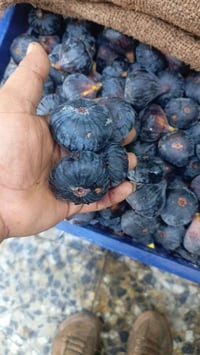 على بركة لله يتوفر لدينا جميع انواع الخضار والفواكه وبسعار تنافسيه  مس...