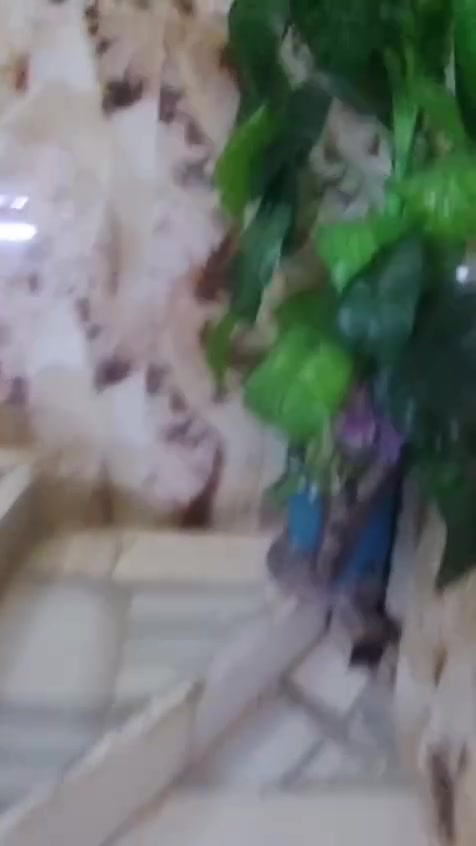 دار للبيع عنوان اخير الداخل شارع علاوي ابو البن حي المنتظر مقابل قطاع 48
الدار مساحته 100 متر نزال 20 الواجه 5 زراعي السعر 86 للاستفسار الاتصال ***********
