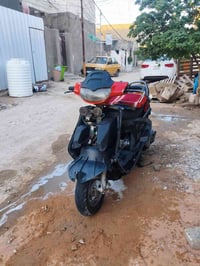 فراشة • مامفتوحة • سلف هندر