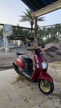 بوليس ٤٩ • دراجة • مكفولة