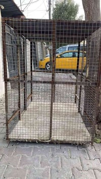 قفص • ١٧٠×١٦٠×١٢٠ • كركوك