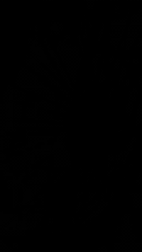 نامه للبيع بدون اوراق لحد يواعدني ويغلس خلي عندك احچايه سعره 550 بدونن...