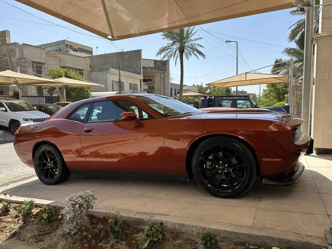 السلام عليكم
جالنجر 2021 ( خليجي هارلم)
الفئة GT اللون مشمشي 
رقم اربيل باسمي  
ماشية ٤٥ الف ميل
محرك ٣٦٠٠
فتحه سقف 
شفتات ستيرن
بصمه تشغيل عن بعد
منظومة زنون اصلي
داخل احمر اصلي
كير ومحرك مكفول
السياره بدون ايرباكات 
السياره بيها بارد وتكحيل ومشتغله PDR
السونار موجود بالمنشور
مكان السيارة بغداد
رقم الهاتف 
***********
***********
