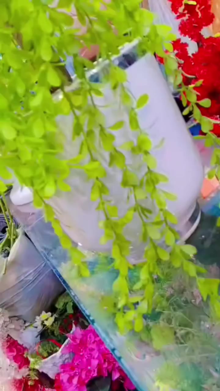 💐💐💐💐💐💐


**إذا كنت صاحب هذا الإعلان وتريد حذفه لأي سبب، رجاءا أرسل رسالة إلى الدعم الفني**