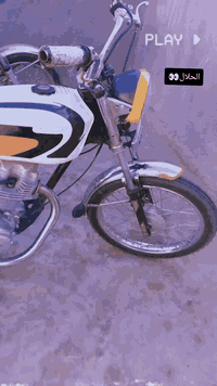 دراجة رابيدو • موديل 24 • القاسم الطليعة